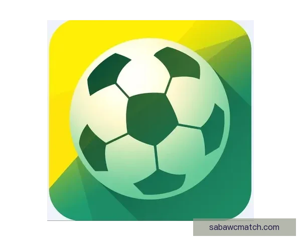 世界杯竞猜网站推荐大全 精选最全平台助您轻松赢大奖